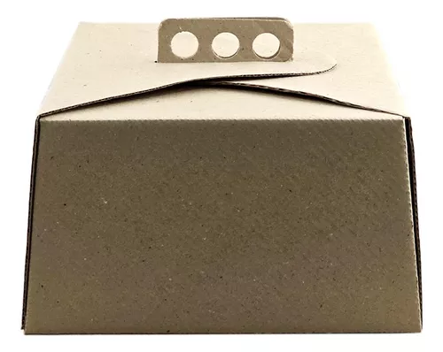 MALETIN MICROC.P/TORTA 27x27x12 (50)